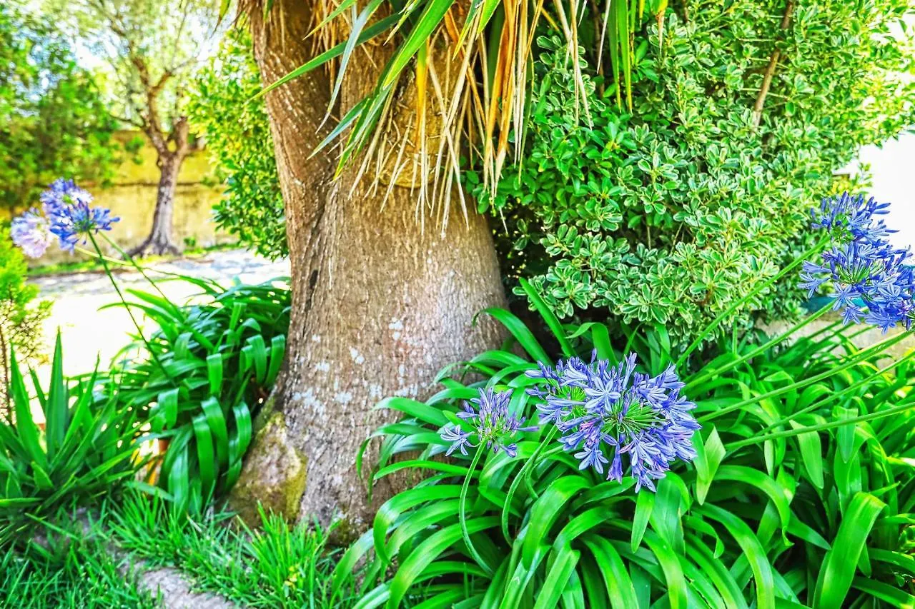 Bed and Breakfast Lugar Saloio Sintra Mem Martins